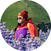 Viajero con un gorro rojo y chaqueta colorida caminando por un campo de lupinos morados en Islandia.